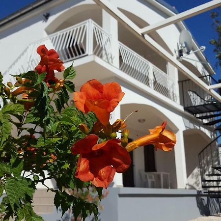Apartments Merion Starigrad Paklenica Exterior photo